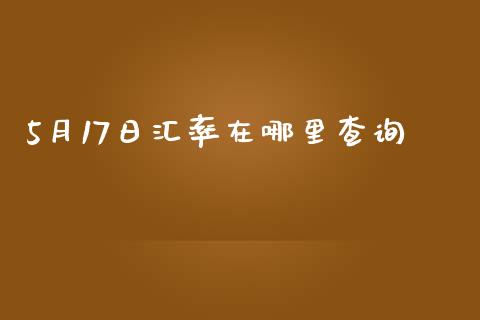 5月17日汇率在哪里查询_https://m.fansifence.com_公募基金_第1张