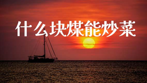 什么块煤能炒菜_https://m.fansifence.com_消费金融_第1张