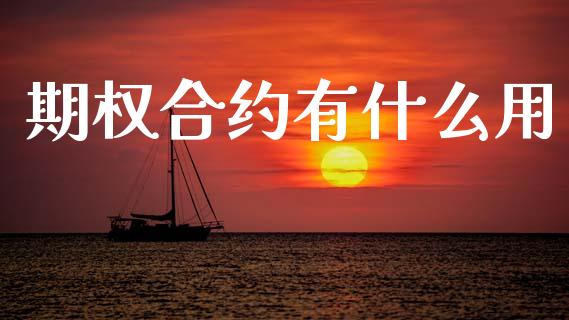 期权合约有什么用_https://m.fansifence.com_贵金属行情_第1张