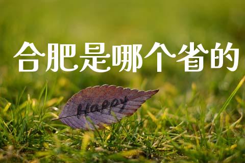 合肥是哪个省的_https://m.fansifence.com_贵金属行情_第1张