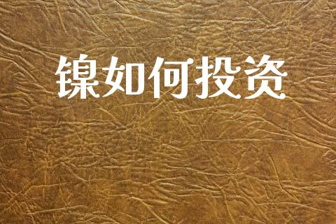 镍如何投资_https://m.fansifence.com_消费金融_第1张