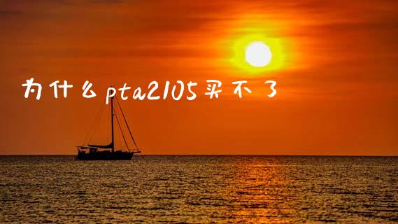 为什么pta2105买不了_https://m.fansifence.com_公募基金_第1张