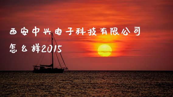 西安中兴电子科技有限公司怎么样2015_https://m.fansifence.com_个股行情_第1张