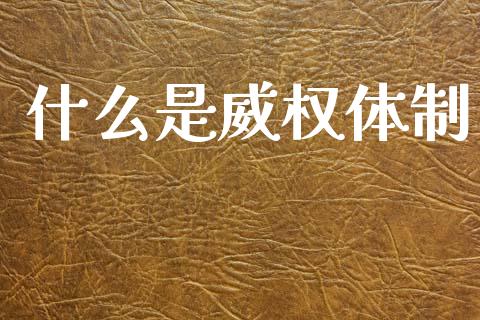 什么是威权体制_https://m.fansifence.com_贵金属行情_第1张