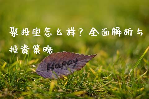 聚投宝怎么样？全面解析与投资策略_https://m.fansifence.com_贵金属行情_第1张