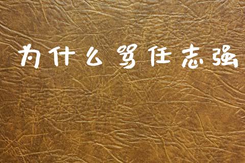 为什么骂任志强_https://m.fansifence.com_公募基金_第1张