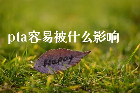 pta容易被什么影响_https://m.fansifence.com_公募基金_第1张