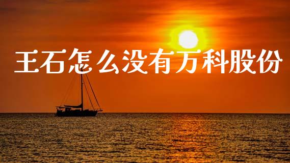 王石怎么没有万科股份_https://m.fansifence.com_公募基金_第1张