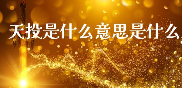 天投是什么意思是什么_https://m.fansifence.com_公募基金_第1张