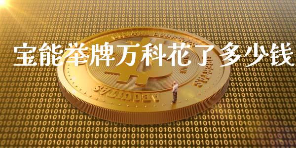 宝能举牌万科花了多少钱_https://m.fansifence.com_公募基金_第1张