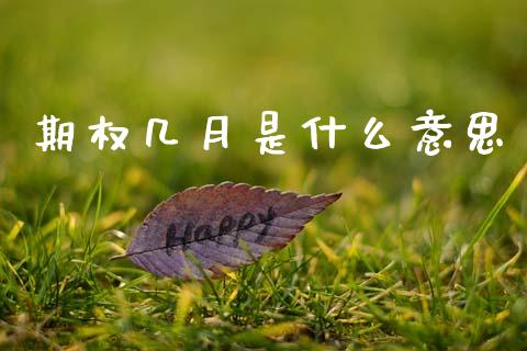 期权几月是什么意思_https://m.fansifence.com_贵金属行情_第1张