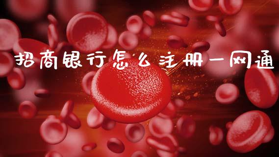 招商银行怎么注册一网通_https://m.fansifence.com_消费金融_第1张