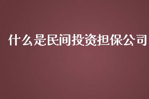 什么是民间投资担保公司_https://m.fansifence.com_消费金融_第1张