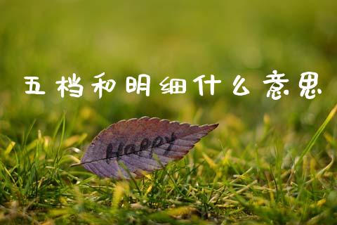 五档和明细什么意思_https://m.fansifence.com_个股行情_第1张