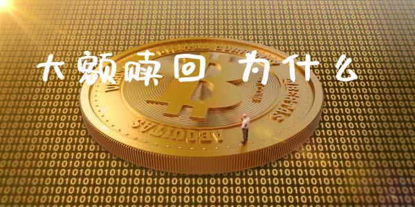 大额赎回 为什么_https://m.fansifence.com_公募基金_第1张