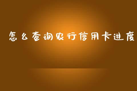 怎么查询农行信用卡进度_https://m.fansifence.com_贵金属行情_第1张