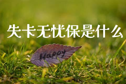 失卡无忧保是什么_https://m.fansifence.com_消费金融_第1张