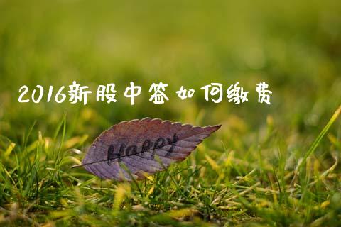 2016新股中签如何缴费_https://m.fansifence.com_消费金融_第1张