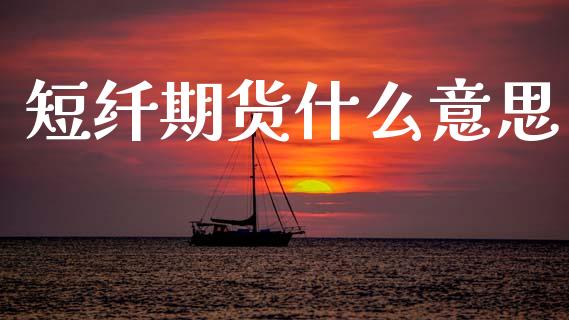 短纤期货什么意思_https://m.fansifence.com_公募基金_第1张