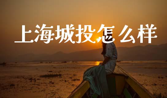 上海城投怎么样_https://m.fansifence.com_消费金融_第1张