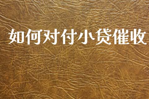 如何对付小贷催收_https://m.fansifence.com_个股行情_第1张