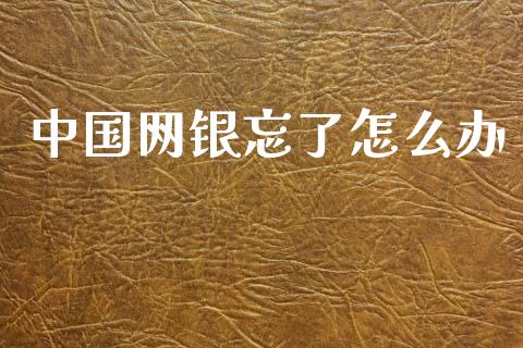 中国网银忘了怎么办_https://m.fansifence.com_公募基金_第1张