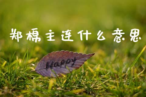郑棉主连什么意思_https://m.fansifence.com_公募基金_第1张