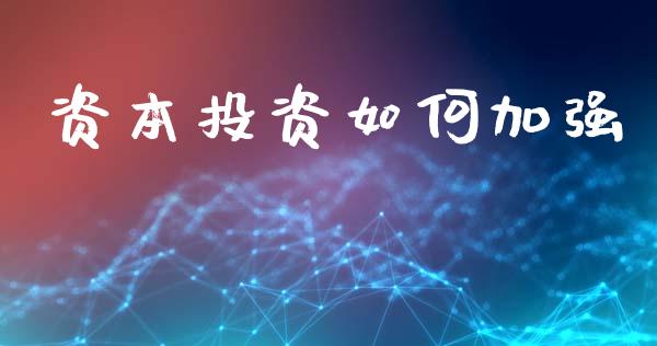 资本投资如何加强_https://m.fansifence.com_贵金属行情_第1张