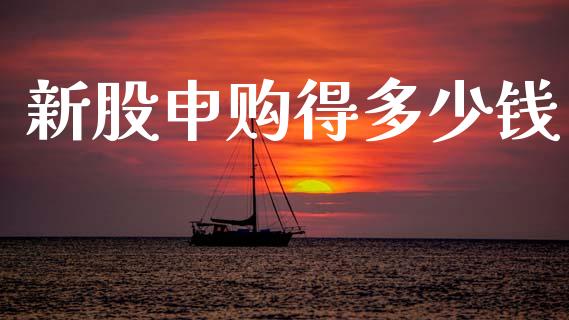 新股申购得多少钱_https://m.fansifence.com_消费金融_第1张