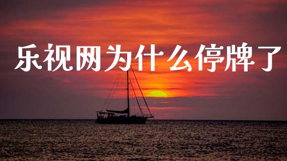 乐视网为什么停牌了_https://m.fansifence.com_消费金融_第1张