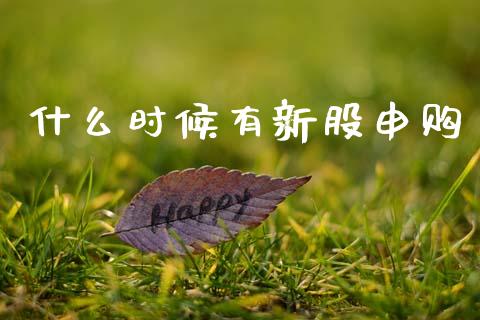什么时候有新股申购_https://m.fansifence.com_消费金融_第1张