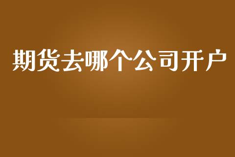 期货去哪个公司开户_https://m.fansifence.com_消费金融_第1张