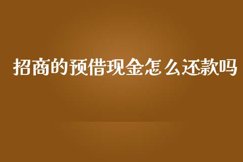 招商的预借现金怎么还款吗_https://m.fansifence.com_消费金融_第1张