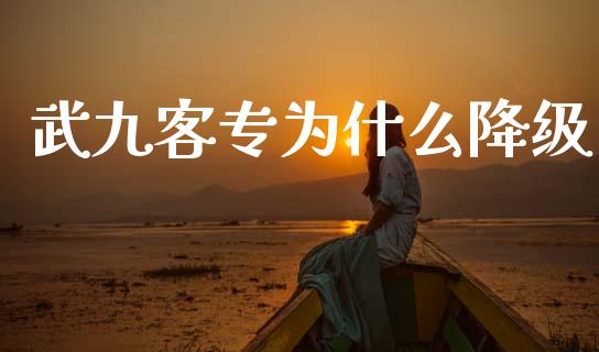 武九客专为什么降级_https://m.fansifence.com_贵金属行情_第1张