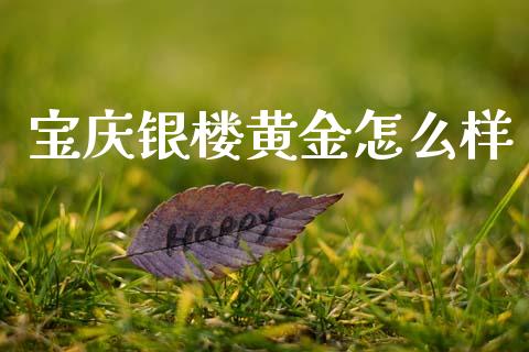 宝庆银楼黄金怎么样_https://m.fansifence.com_公募基金_第1张