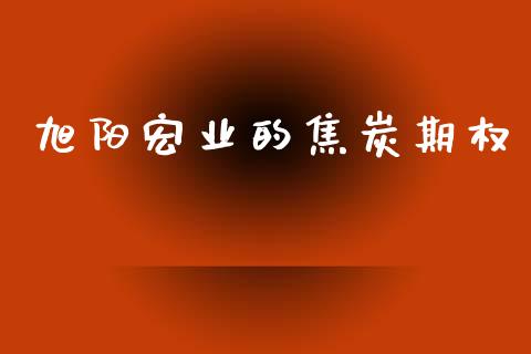 旭阳宏业的焦炭期权_https://m.fansifence.com_贵金属行情_第1张
