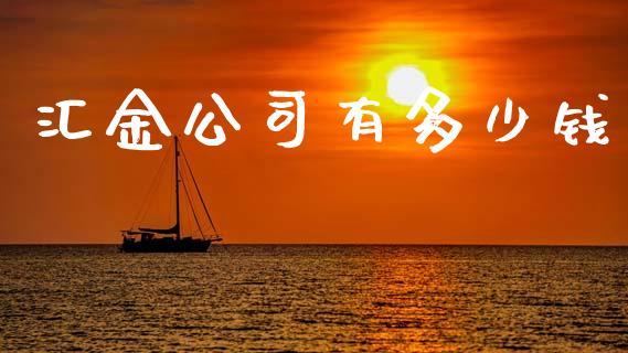 汇金公司有多少钱_https://m.fansifence.com_个股行情_第1张