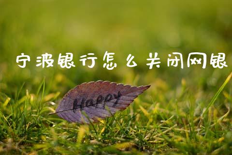 宁波银行怎么关闭网银_https://m.fansifence.com_贵金属行情_第1张