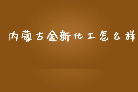 内蒙古金新化工怎么样_https://m.fansifence.com_消费金融_第1张