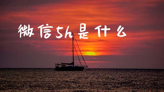 微信5h是什么_https://m.fansifence.com_公募基金_第1张