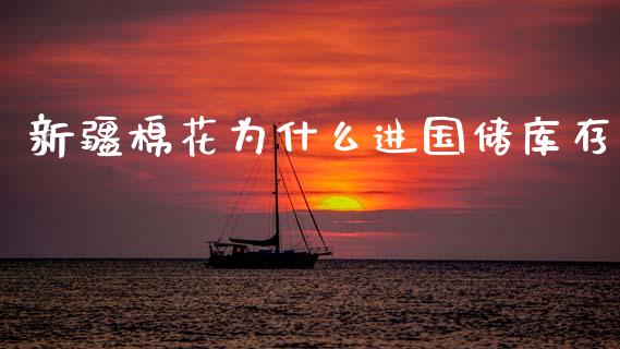 新疆棉花为什么进国储库存_https://m.fansifence.com_消费金融_第1张