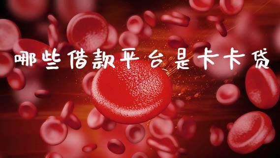 哪些借款平台是卡卡贷_https://m.fansifence.com_公募基金_第1张
