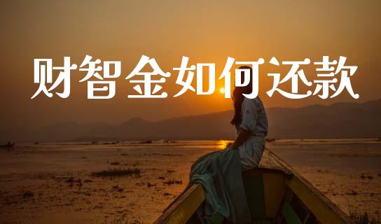 财智金如何还款_https://m.fansifence.com_消费金融_第1张