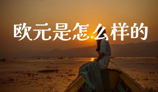 欧元是怎么样的_https://m.fansifence.com_个股行情_第1张