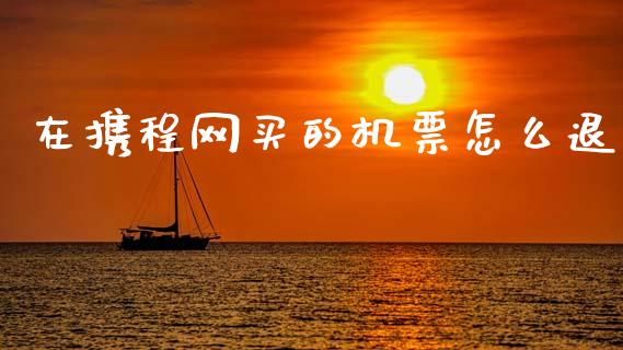 在携程网买的机票怎么退_https://m.fansifence.com_贵金属行情_第1张