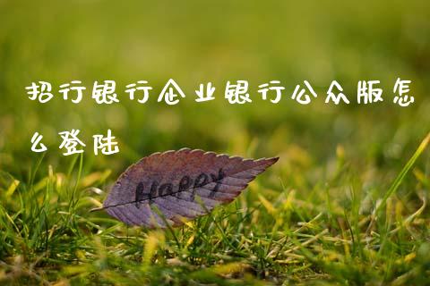 招行银行企业银行公众版怎么登陆_https://m.fansifence.com_贵金属行情_第1张