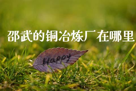 邵武的铜冶炼厂在哪里_https://m.fansifence.com_公募基金_第1张