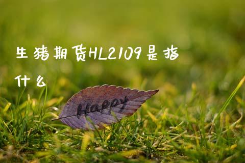 生猪期货HL2109是指什么_https://m.fansifence.com_个股行情_第1张