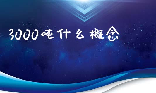 3000吨什么概念_https://m.fansifence.com_消费金融_第1张