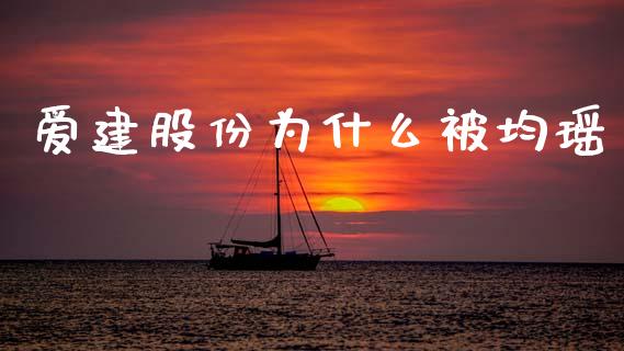 爱建股份为什么被均瑶_https://m.fansifence.com_个股行情_第1张